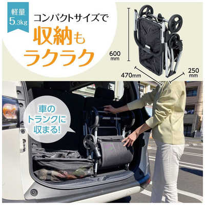 プライムダイレクト EcoCaマイショッピングカート シルバー EC41 の