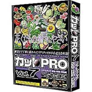 協和 〔Win・Mac版〕 カットPRO Vol.7 WINMAC カットPROVOL.7リアルタッチ