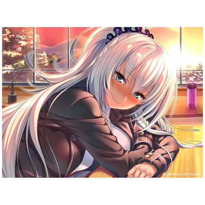 アレス Switchゲームソフト アマカノ ～Second Season～ の通販