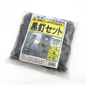 ヴェルデ 黒釘セット 100セット 2057962 ヴェルデ 黒釘セット 100セット 2057962