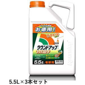 ���i�摜