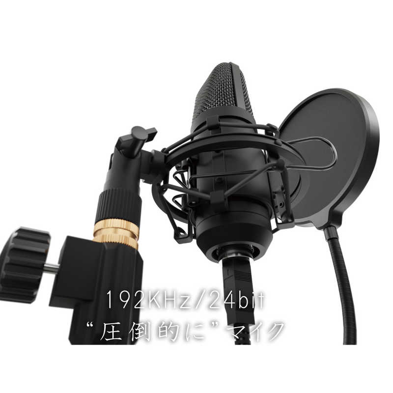 AREA AREA 多用途で使える高性能USBハイエンドマイク エアリア ブラック SD-U2MIC-R2B SD-U2MIC-R2B