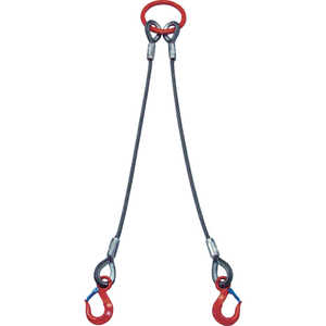 大洋製器工業 2本吊 ワイヤスリング 1t用×1m 2WRS 1T×1