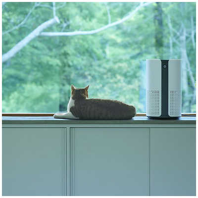 新品 duux 空気清浄機 Bright 【DXPU07JP-WT】～18畳