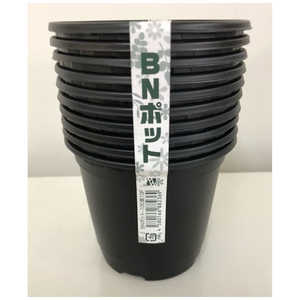 a BN|bg100 10P N BN|bg10010P