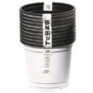 a BN|bg100 10P V BN|bg10010P