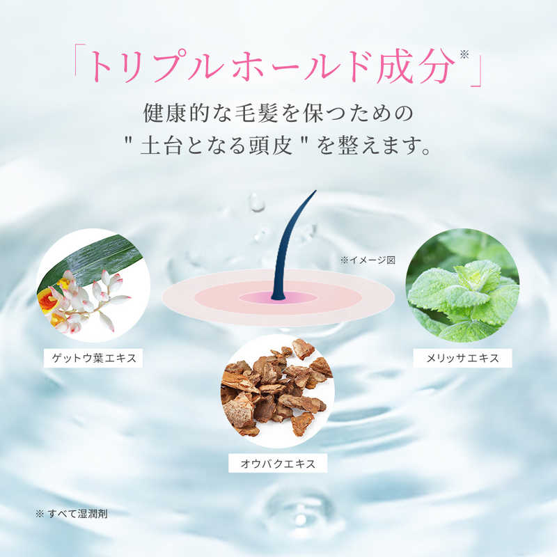 ANGFA ANGFA アンファー(ANGFA)スカルプDボーテ 薬用トリートメントパックモイスト 350mL  