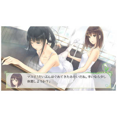 Switch FLOWERS 四季　フラワーズ プロトタイプ Switchゲームソフト FLOWERS 四季 フラワｰズシキ