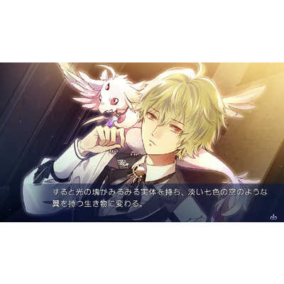 プロトタイプ Switchゲームソフト 闇色の魔珠 初回限定版 PTV2-05 の