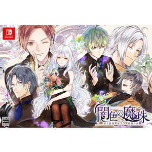 プロトタイプ Switchゲームソフト 闇色の魔珠 初回限定版 PTV2-05 プロトタイプ Switchゲームソフト 闇色の魔珠 初回限定版 PTV2-05