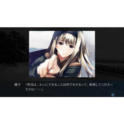 プロトタイプ Switchゲームソフト カルタグラ 初回限定版 PTV2-06 の