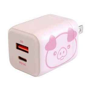 n PD/QCΉ }[d 20W USB-Type-A/Type-Ce1|[g m2|[g /USB Power DeliveryΉn sN JKPD20GAPK