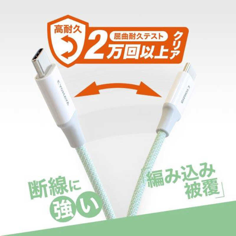 京ハヤ 京ハヤ USB2.0 Type-Cケーブル カラフルタイプ 1.2m JKFAC120GN JKFAC120GN