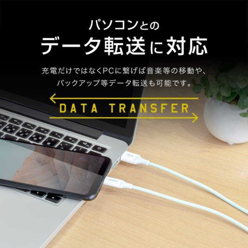 京ハヤ 京ハヤ USB2.0 Type-Cケーブル カラフルタイプ 1.2m JKFAC120GN JKFAC120GN