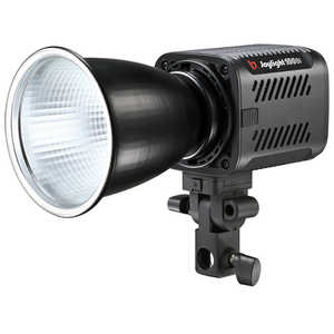 JINBEI LED���C�g JL-100BI J120