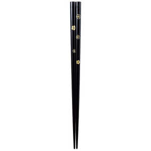 CV_  o ֓h ~Ԗ 22.5cm 386417
