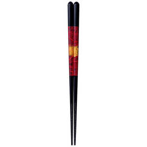 CV_ H o a 21.0 388749