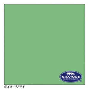 【サベージ背景紙】バックペーパー(No.40・ミントグリーン) RL401253 【サベージ背景紙】バックペーパー(No.40・ミントグリーン) RL401253