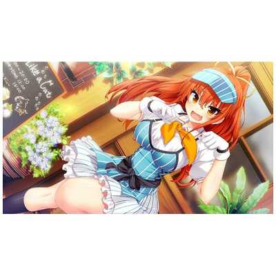 ノラと皇女と野良猫ハート（TVアニメ同梱プレミアム版） Vita PS Vita版「ノラとと」公式サイトにてオリジナル店舗特典情報を