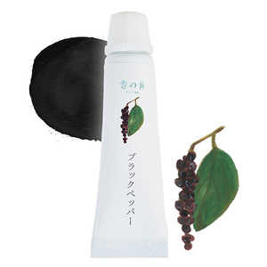 GRASSETOKYO 香の具 ブラックペッパー 7ml KNG8847 GRASSETOKYO 香の具 ブラックペッパー 7ml KNG8847