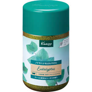 クナイプジャパン KNEIPP(クナイプ)バスソルト ユーカリの香り 850g 入浴剤 クナイプバスソルトユーカリ