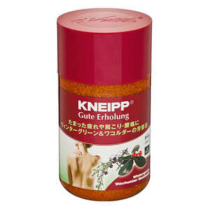 クナイプジャパン グーテエアホールング バスソルト ウィンターグリーン&ワコルダーの香り 850g 