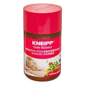 クナイプジャパン ｢クナイプ｣グーテバランス バスソルト ワイルドローズの香り 850g 
