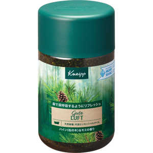 クナイプジャパン KNEIPP(クナイプ) 850g KNPBソルトパイン&モミ850G