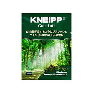 クナイプジャパン KNEIPP(クナイプ) 40g KNPBソルトパイン&モミ40G