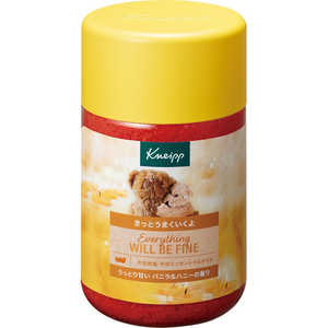 クナイプジャパン KNEIPP(クナイプ) 850g KNPBソルトバニラ&ハニー850G