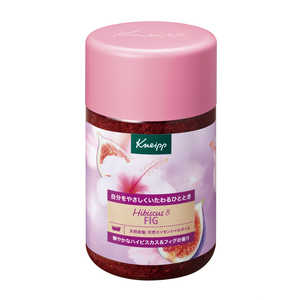 �N�i�C�v�W���p�� Kneipp(�N�i�C�v)�o�X�\���g �n�C�r�X�J�X���t�B�O 850g BS�n�C�r�X�J�X850G