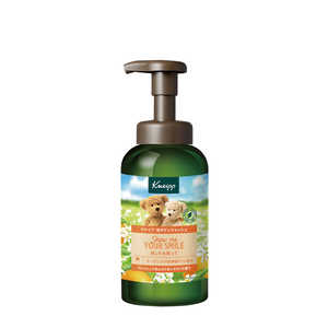 �N�i�C�v�W���p�� Kneipp(�N�i�C�v)�A�{�f�B�E�H�b�V�� �l�����̍��� 450g BW�l�����{�g��