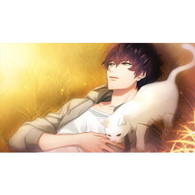 ドラマティッククリエイト Switchゲームソフト DYNAMIC CHORD feat