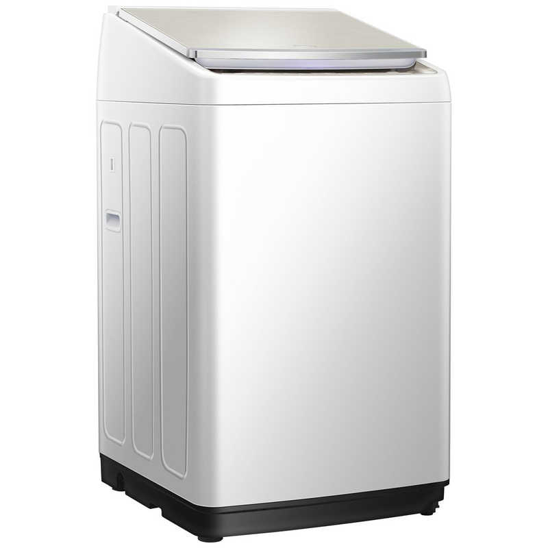 ハイセンス ハイセンス 全自動洗濯機 インバーター 洗濯10.0kg 低騒音タイプ HW-DG10A HW-DG10A
