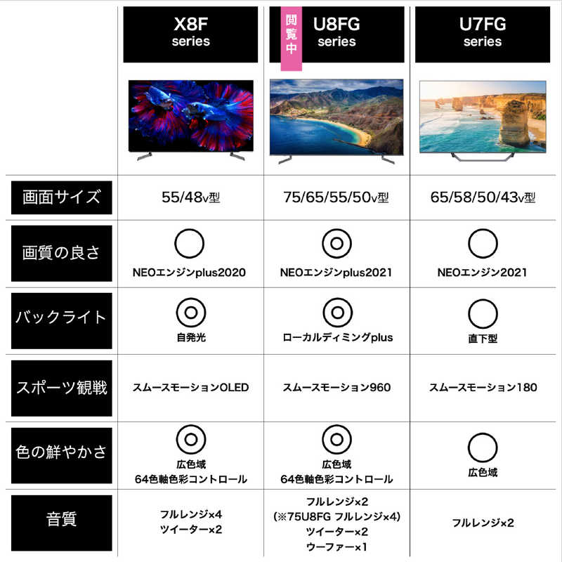 ハイセンス ハイセンス 液晶テレビ 65V型 4Kチューナー内蔵 65U8FG 65U8FG