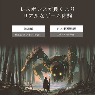 ハイセンス 液晶テレビ [ 50V型 / 4Kチューナー内蔵 ] 50U7FG の通販