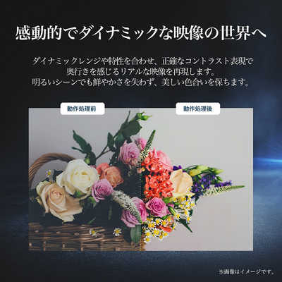 ハイセンス 液晶テレビ [43V型 /4K対応 /BS・CS 4Kチューナー
