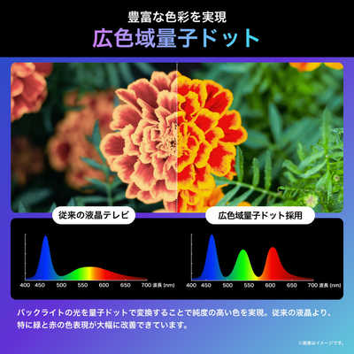 ハイセンス 液晶テレビ U7Nシリーズ [ 43V型 / 4Kチューナー内蔵