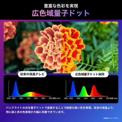 Amazon.co.jp: 【Amazon.co.jp限定】ハイセンス 85V型 4K Mini