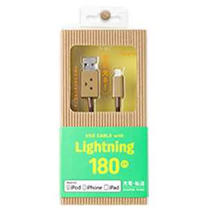 ティアールエイ iPad/mini/iPhone/iPod対応Lightning-USBケーブル CHE-232