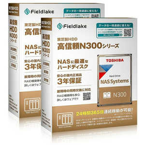 東芝 TOSHIBA 東芝HDD N300 22TBx2 N302A22-HDWG62CUZSVA