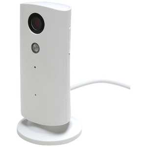 ダイトク 赤外線ライト付Wi-Fiホームカメラ ｢スマートポールIR(Smart Pole IR)｣ SP-IRDTK