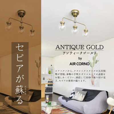 大河商事 LED照明 ペンダントライト 3灯 電球別売 AIRCORNO 035