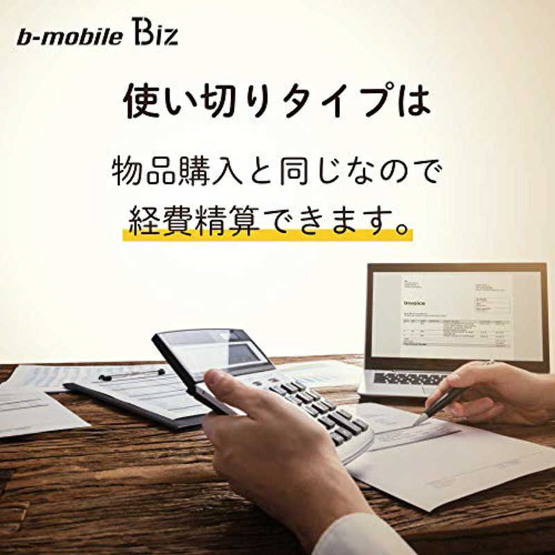 日本通信 日本通信 マルチカットSIM ドコモ回線｢BMGTPLBC12MCb-mobile Biz SIMパッケージ (DC/マルチ)｣ BM-GTPLBC-12MC BM-GTPLBC-12MC