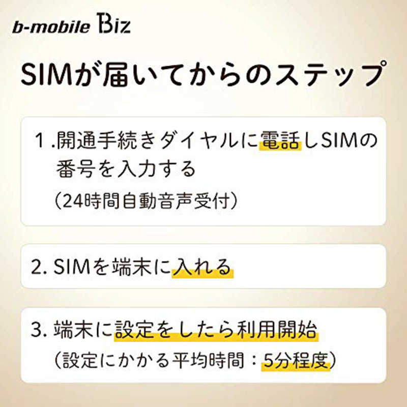 日本通信 日本通信 マルチカットSIM ドコモ回線｢BMGTPLBC12MCb-mobile Biz SIMパッケージ (DC/マルチ)｣ BM-GTPLBC-12MC BM-GTPLBC-12MC