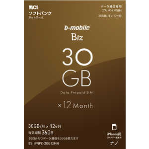 日本通信 ナノSIM ソフトバンク回線｢b-mobile Biz SIMパッケージ (SB/iPhone用ナノ)｣ BS-IPNPC-30G12MN