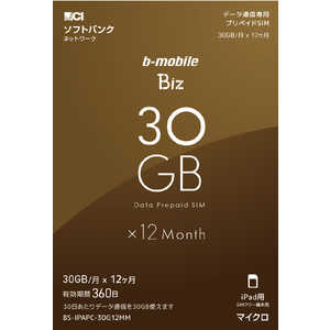 日本通信 マイクロSIM ソフトバンク回線｢b-mobile Biz SIMパッケージ (SB/iPad用マイクロ)｣ BS-IPAPC-30G12MM
