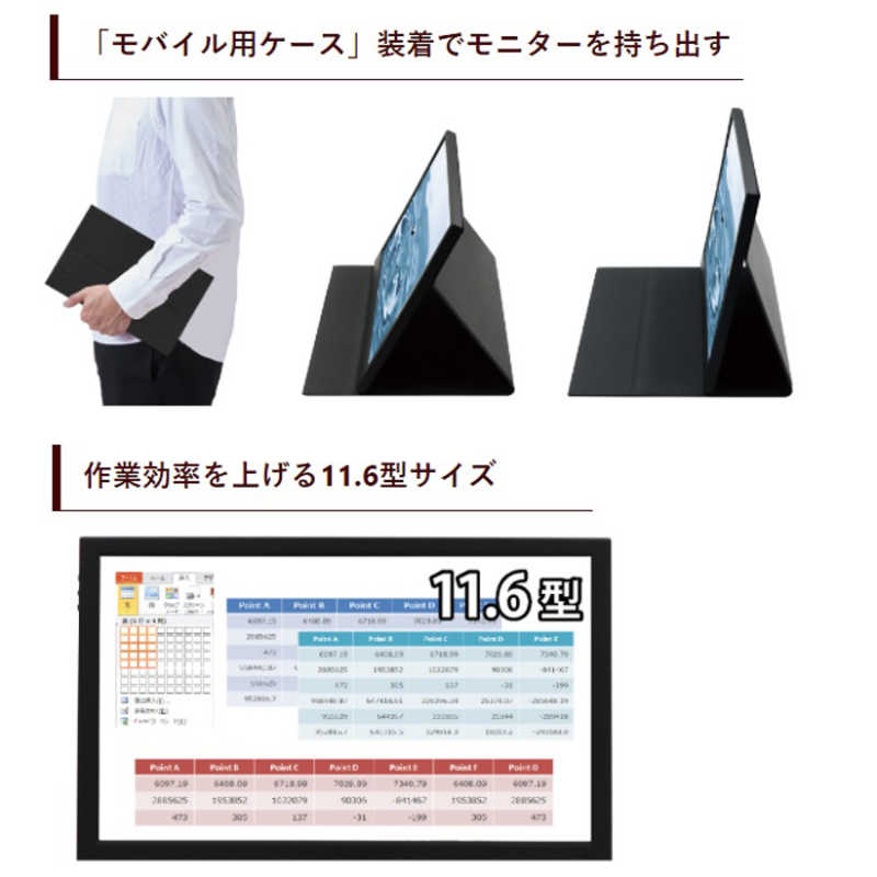 ITPROTECH ITPROTECH PCモニター [11.6型 /フルHD(1920×1080) /ワイド] LCD11HCR-IPS LCD11HCR-IPS