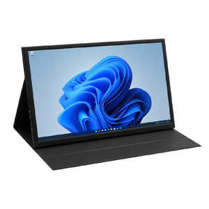 ITPROTECH PCモニター USB-C接続 ブラック LCD18HCR-IPS ［18.5型 /フルHD(1920×1080) /ワイド］ LCD18HCRIPS