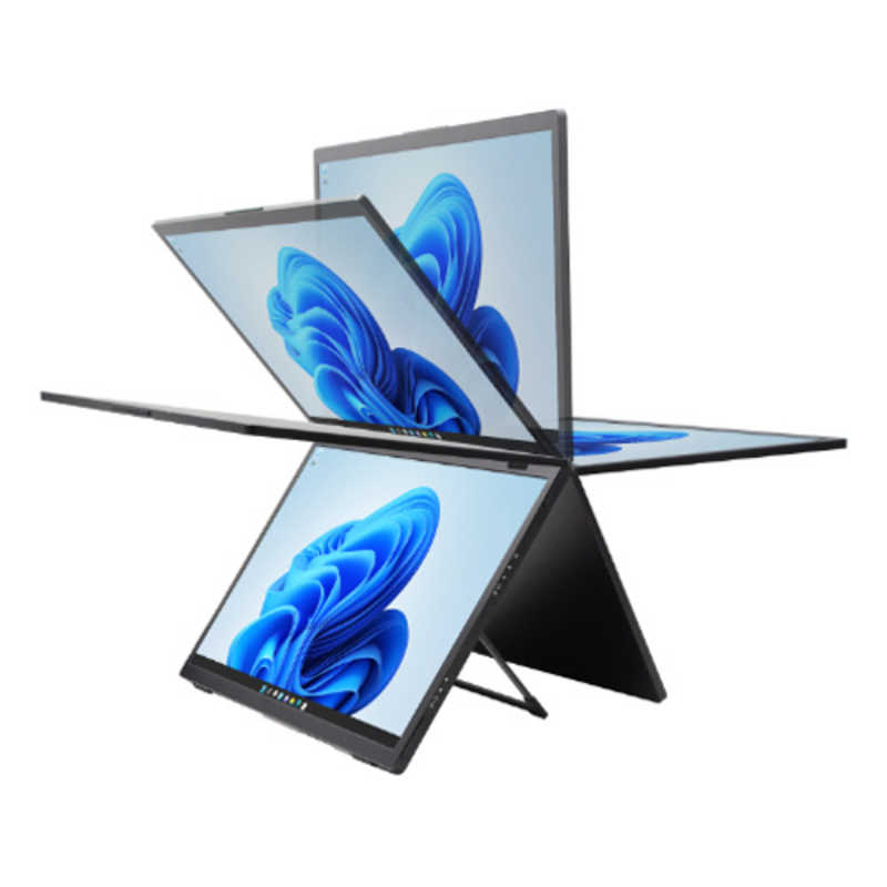 ITPROTECH ITPROTECH USB-C接続 デュアルPCモニター ［15.6型 ×2/フルHD(1920×1080) /ワイド］ ［15.6型 /有機EL フルHD(1920×1080) /ワイド］ ブラック LCD15HC-IPSDUAL LCD15HC-IPSDUAL